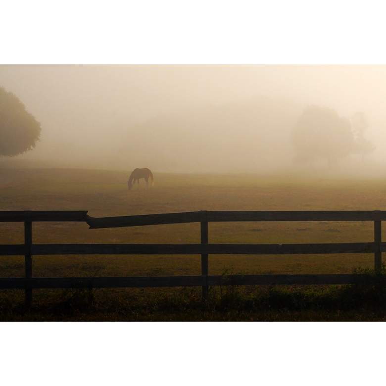 Image 1 Horse in Misty Pasture 24 inch Wide Sepia Giclee Wall Art