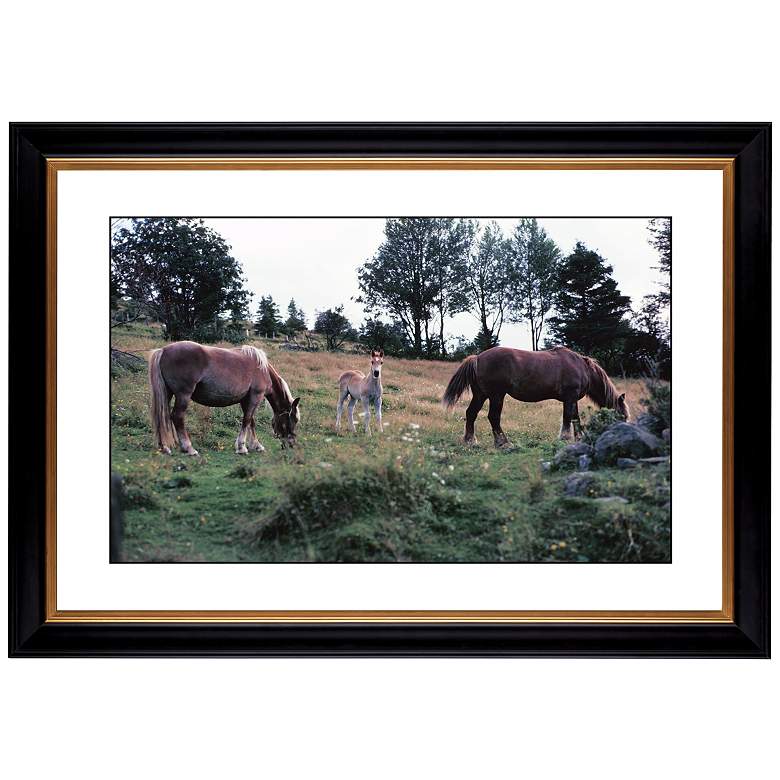 Image 1 Horses Giclee 41 3/8 inch Wide Wall Art