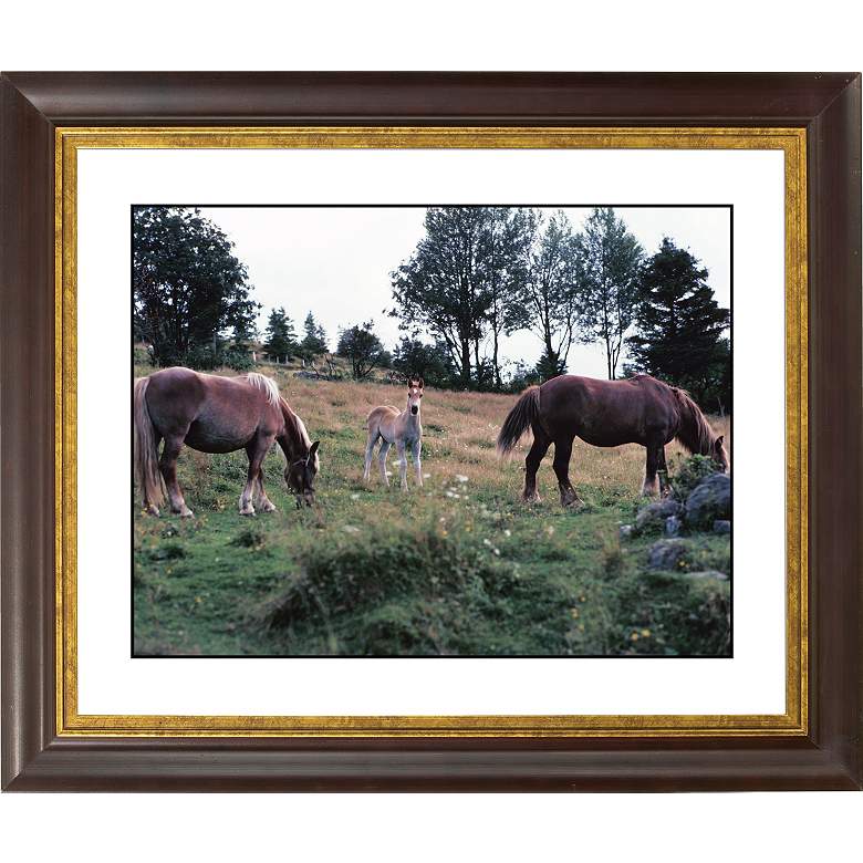Image 1 Horses Gold Bronze Frame Giclee 20 inch Wide Wall Art
