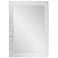 Howard Elliott Adoree 30"x40" Rectangular Mirror with 3D Mirror C