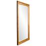 4_Howard Elliott Chandler Country Gold 46" x 82" Floor Mirror more views