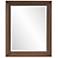 Howard Elliott Nolan Dark Brown 28" x 34" Wall Mirror