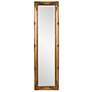 2_Howard Elliott Queen Ann 66" High Antique Gold Floor Standing Mirror more views