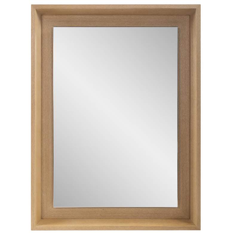 Image 1 Howard Elliott Rectangular 30"x40" Wood Framed Danton Floating Mi