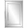 Howard Elliott Rectangular Mirror on Mirror 28"x40" Del Noble Wal