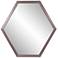 Howard Elliott Sheldrake 30" Modern Graphite Hexagonal Wall Mirror