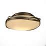 3_Hubbardton Forge Flora 14" Wide Soft Gold Ceiling Light more views