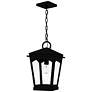 Thumbnail1 of Huck 1-Light Earth Black Outdoor Hanging Lantern