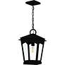 Thumbnail2 of Huck 1-Light Earth Black Outdoor Hanging Lantern more views