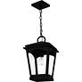 Thumbnail4 of Huck 1-Light Earth Black Outdoor Hanging Lantern more views