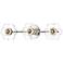 Hudson Valley Alexa 22" 3-Light Nickel Flower Globe Glass Bath Light