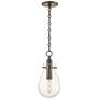 2_Hudson Valley Becki Owens Ivy 7 1/2" Bronze Clear Glass LED Pendant