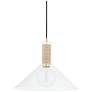 1_Hudson Valley Besa 16" Wide Modern Brass and Clear Glass Cone Pendant