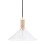 2_Hudson Valley Besa 16" Wide Modern Brass and Clear Glass Cone Pendant more views