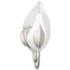 Hudson Valley Blossom 16" High Silver Leaf Wall Sconce