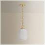 6_Hudson Valley Lighting Enosburg Pendant Aged Brass more views