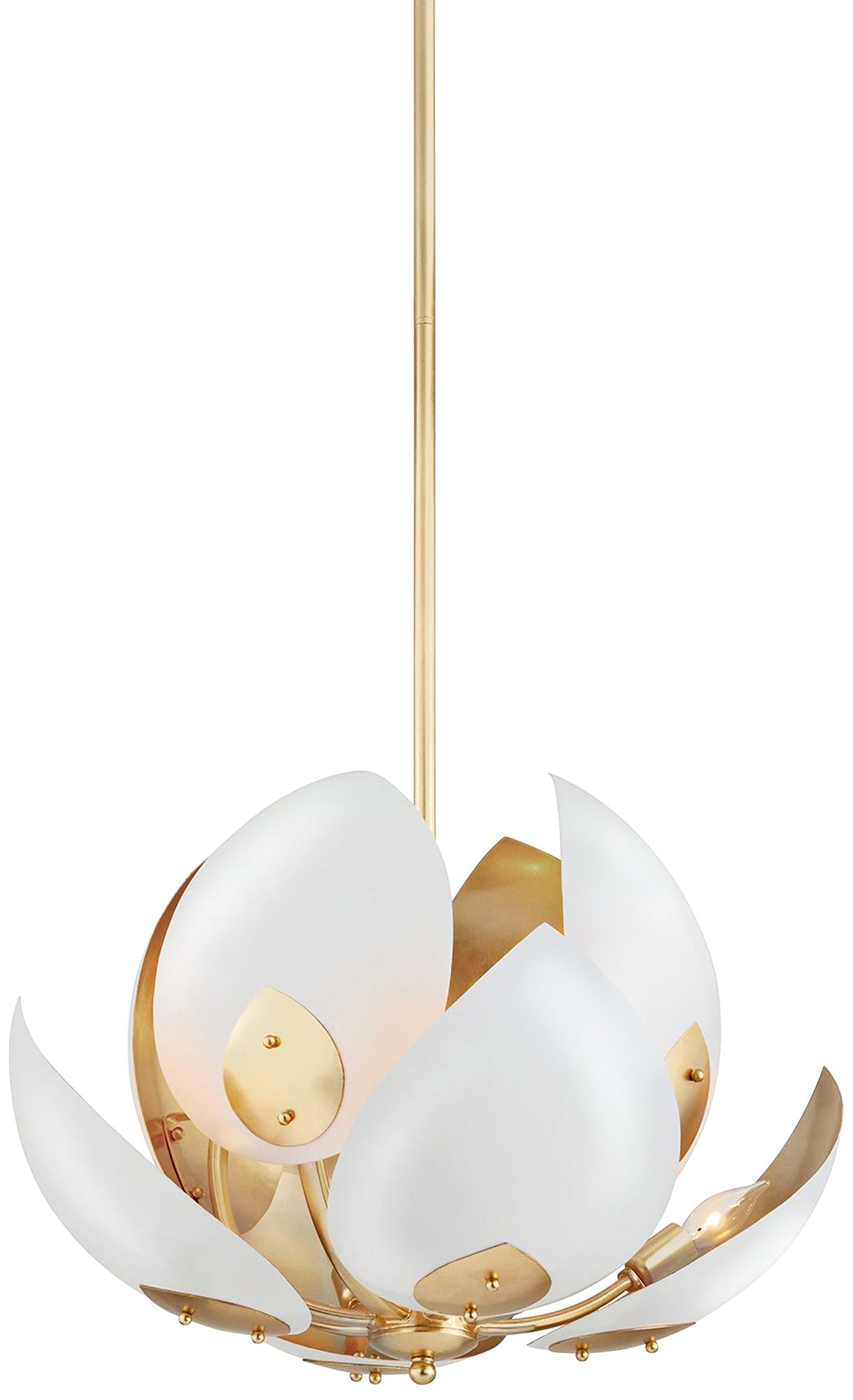 Hudson Valley Lighting Lotus Gold Collection