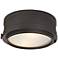 Hudson Valley Rye 11" Wide Old Bronze Ceiling Light