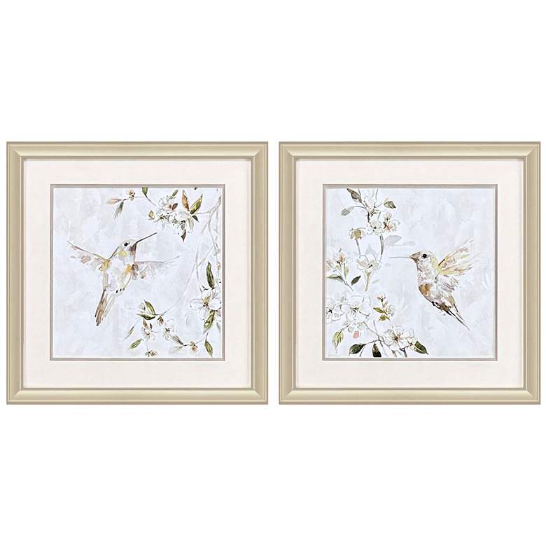 Image 1 Hummingbird Song 18"W x 18"H Framed Wall Art Set of 2
