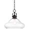 Hunter 14 1/4" Wide Steel and Clear Glass Pendant Light