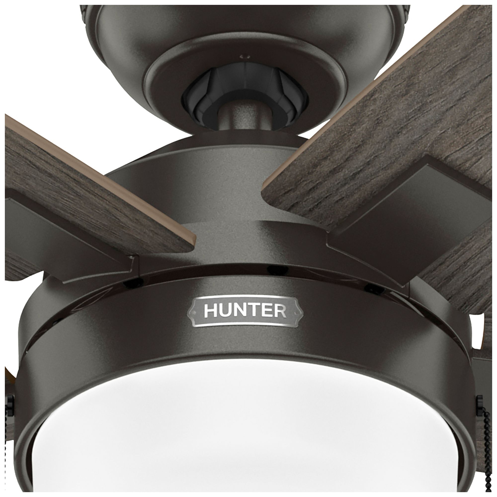 Hunter 44" Anisten Noble Bronze Fan with Grey Walnut/Warm Grey Oak Blades