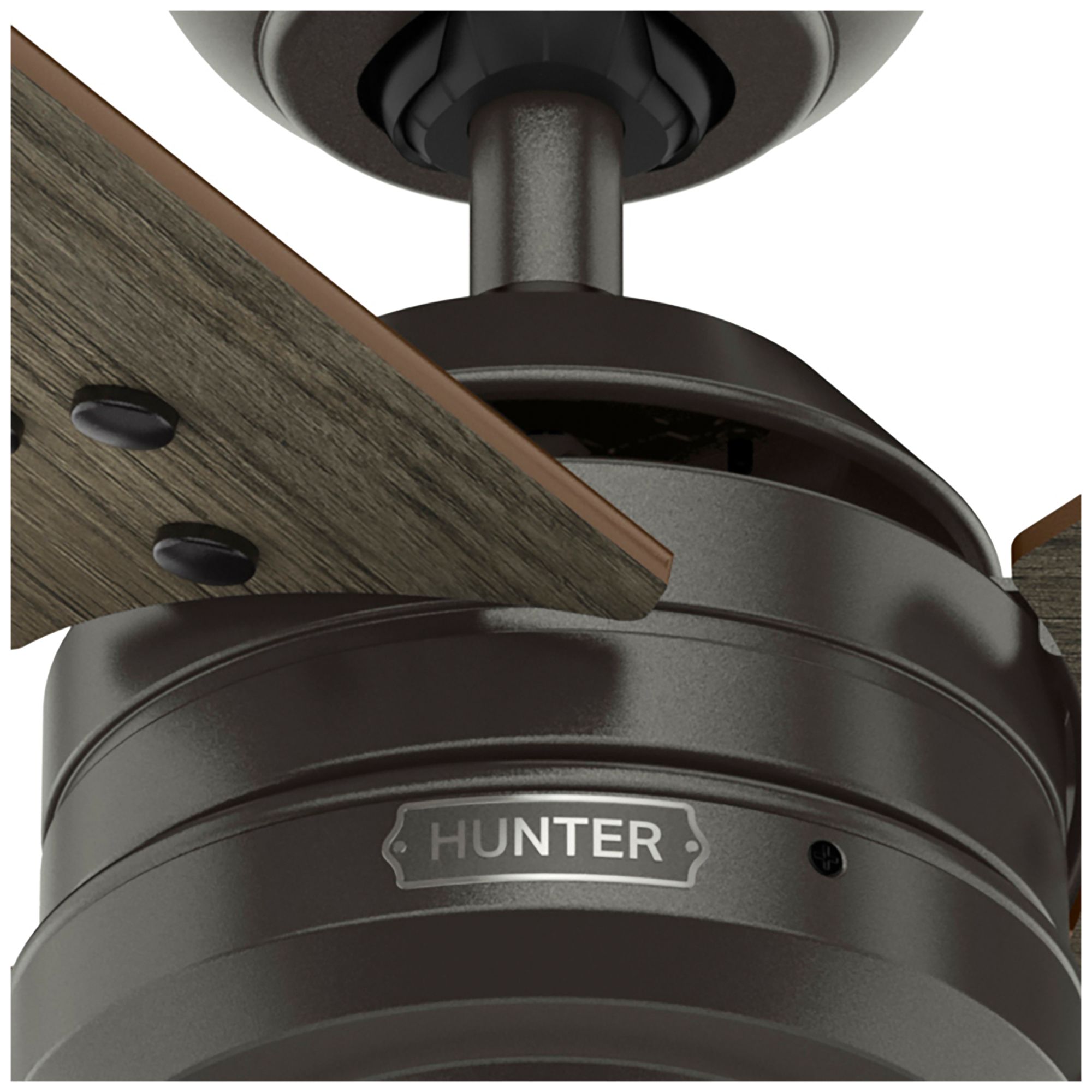 Hunter 44" Cassius Noble Bronze Fan with Warm Grey Oak/Dark Gray Oak Blades