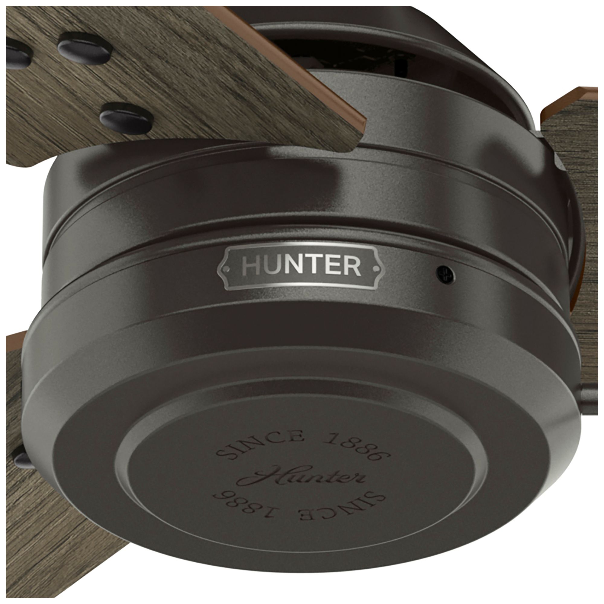 Hunter 44" Cassius Noble Bronze Fan with Warm Grey Oak/Dark Gray Oak Blades