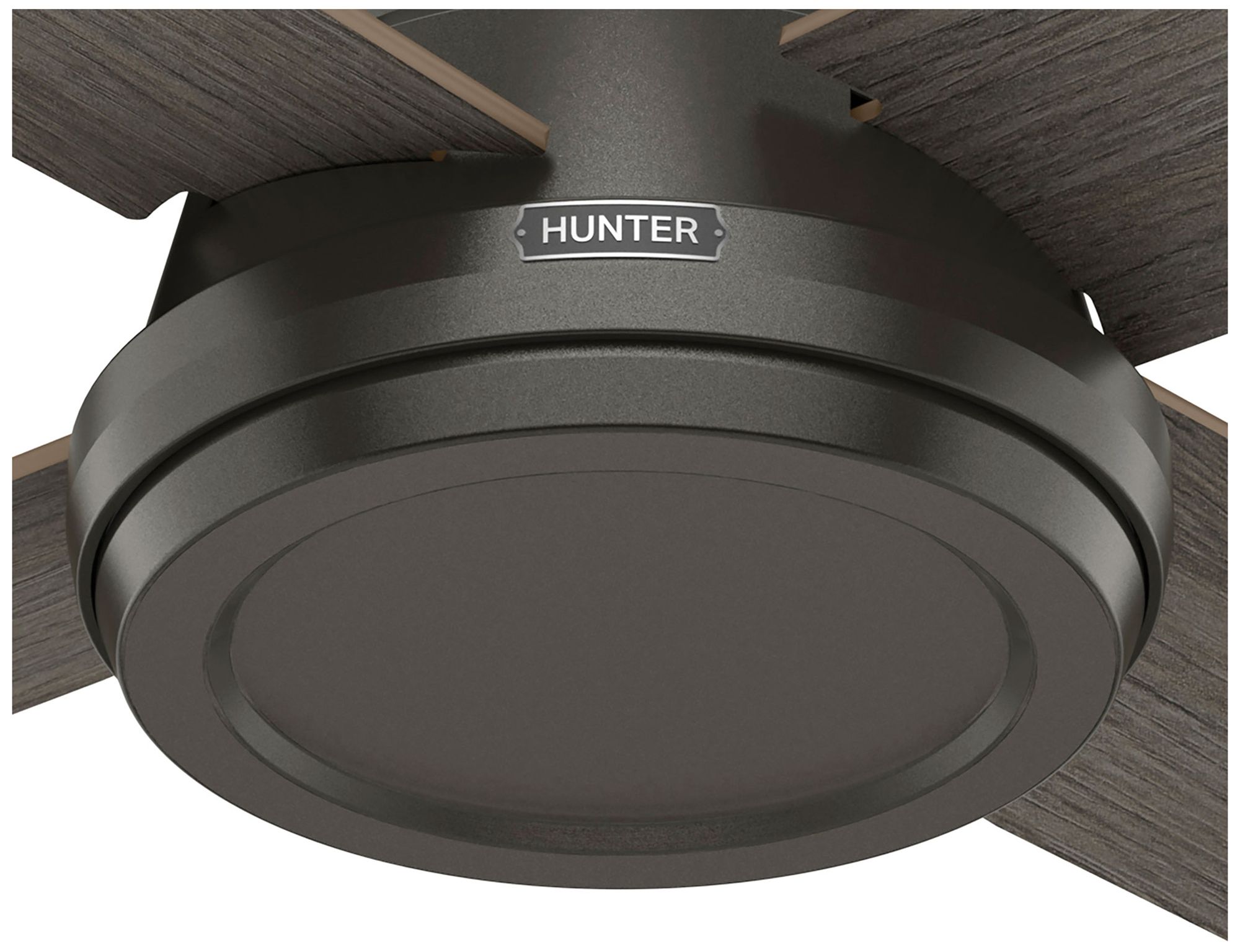 Hunter 44" Dempsey Noble Bronze Low Profile Ceiling Fan and Handheld Remote