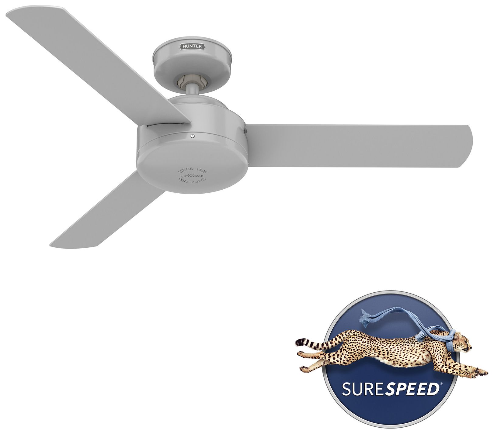 Hunter 44 inch Presto Dove Grey Ceiling Fan and Wall Control
