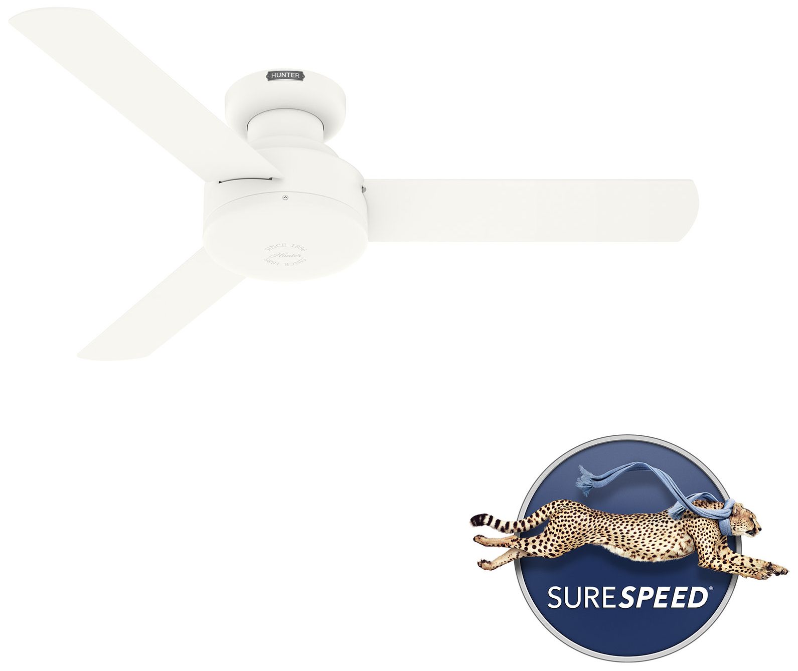 Image 4 Hunter 44 inch Presto Matte White Low Profile Ceiling Fan and Wall Control more views