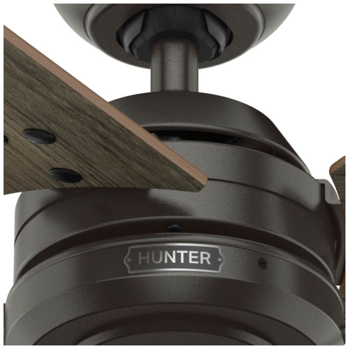 Hunter 52" Cassius Noble Bronze Fan with Warm Grey Oak/Dark Gray Oak Blades