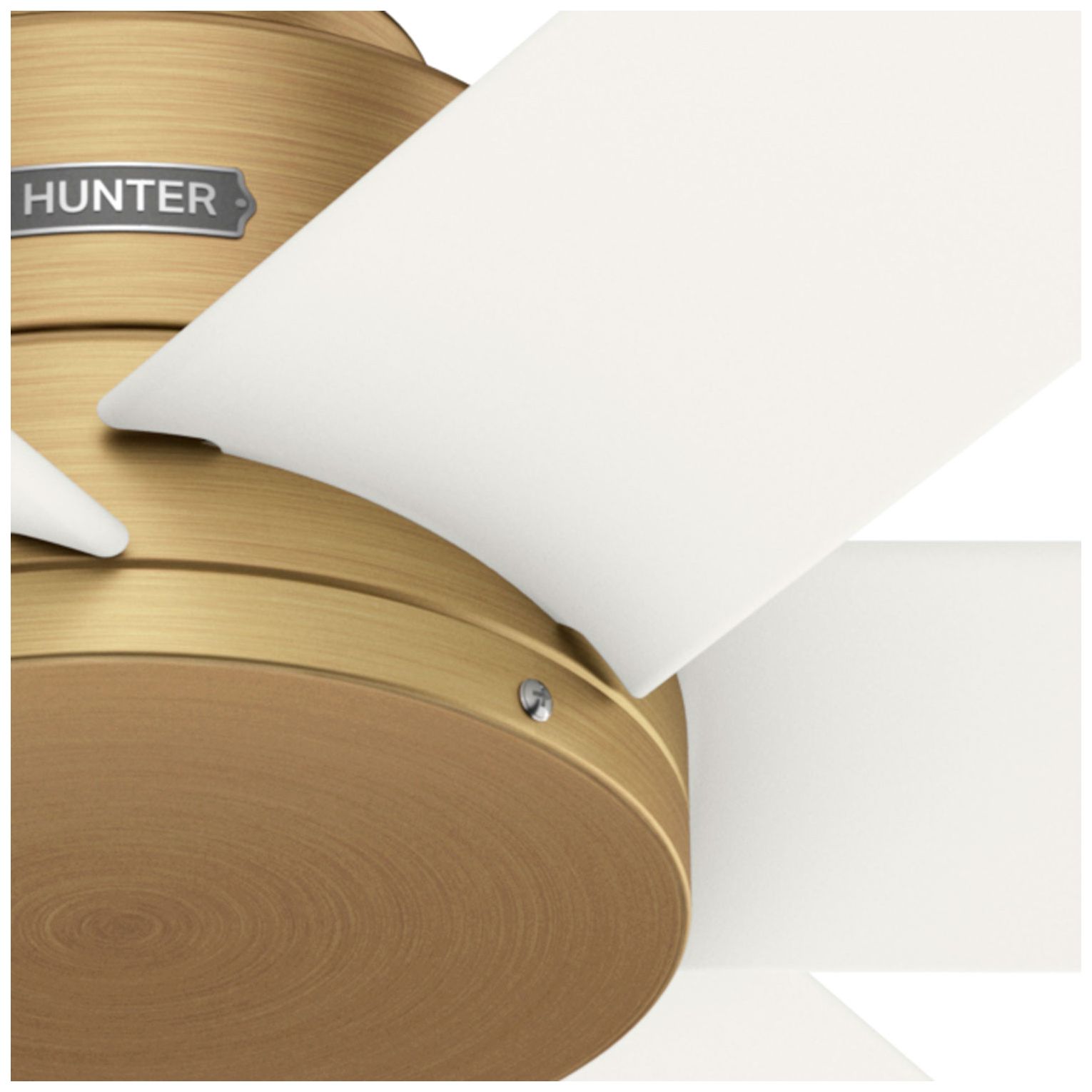 Hunter 52 inch Kennicott Luxe Gold Damp Rated Ceiling Fan and Wall Control