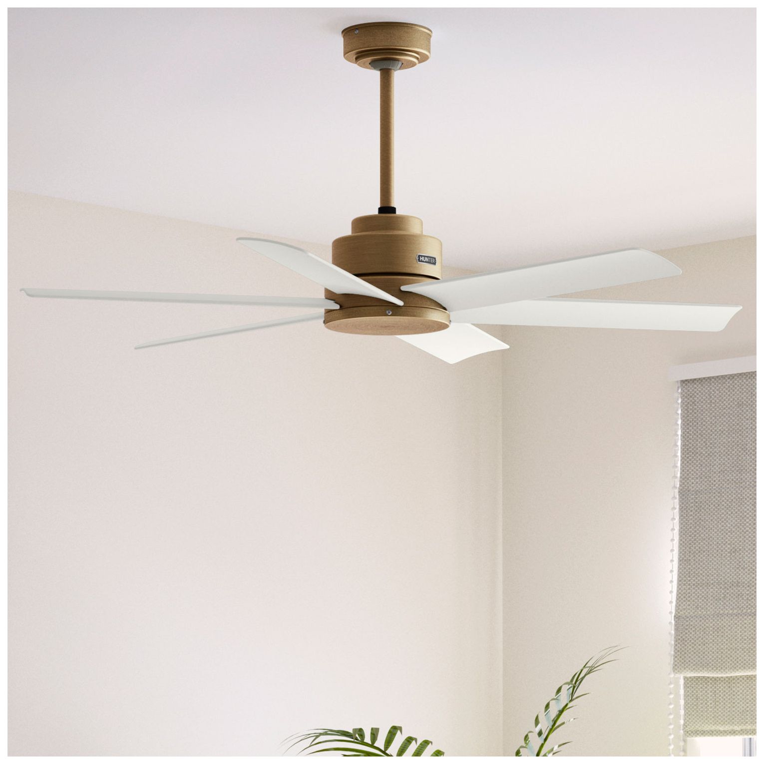 Hunter 52 inch Kennicott Luxe Gold Damp Rated Ceiling Fan and Wall Control