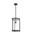 Hunter Astwood Matte Black with Clear Glass 1 Light Pendant Light Fixture
