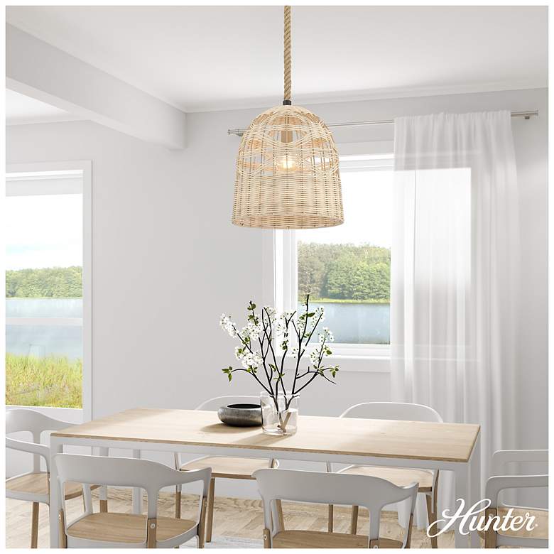 Image 3 Hunter Baskel Matte Black 1 Light Large Pendant Ceiling Light Fixture more views