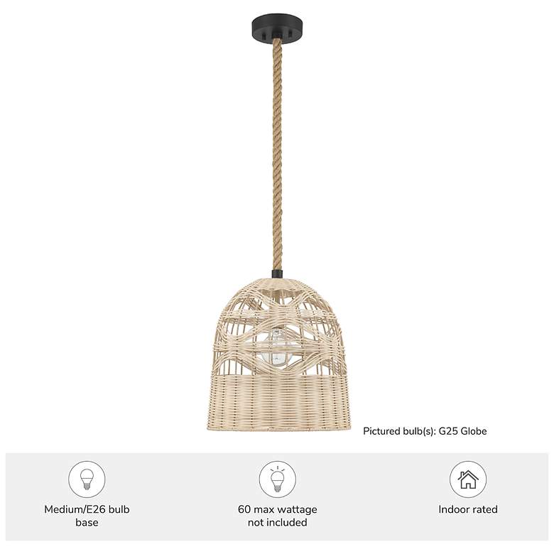 Image 5 Hunter Baskel Matte Black 1 Light Large Pendant Ceiling Light Fixture more views