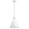 Hunter Bluff View Fresh White with Clear Holophane Glass 1 Light Pendant