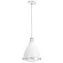 Hunter Bluff View Fresh White with Clear Holophane Glass 1 Light Pendant
