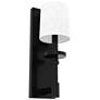 Hunter Briargrove 14" High Matte Black Wall Sconce