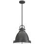 Hunter Bridgemoor Noble Bronze with Clear Holophane Glass 2 Light Pendant