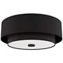 2_Hunter Brookside Matte Black with Frosted Glass 2 Light Flush Mount