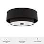 5_Hunter Brookside Matte Black with Frosted Glass 2 Light Flush Mount more views