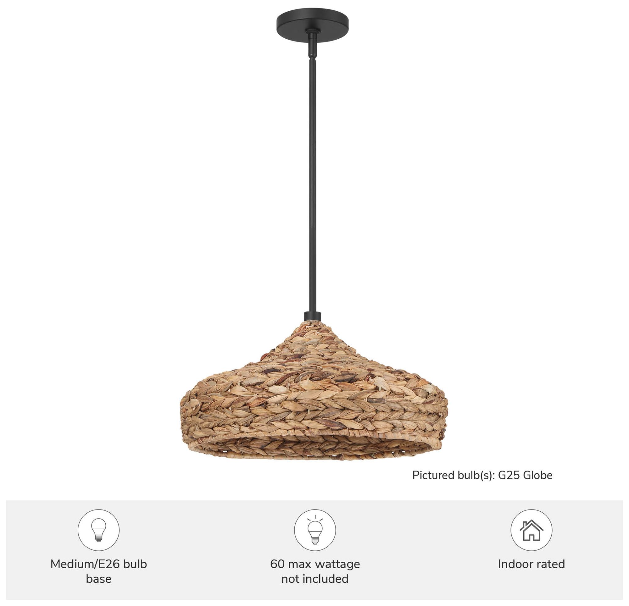 Image 5 Hunter Cambria Matte Black 1 Light Large Pendant Ceiling Light Fixture more views