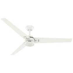 Hunter Cassius 60 in Fresh White ENERGY STAR Outdoor Fan