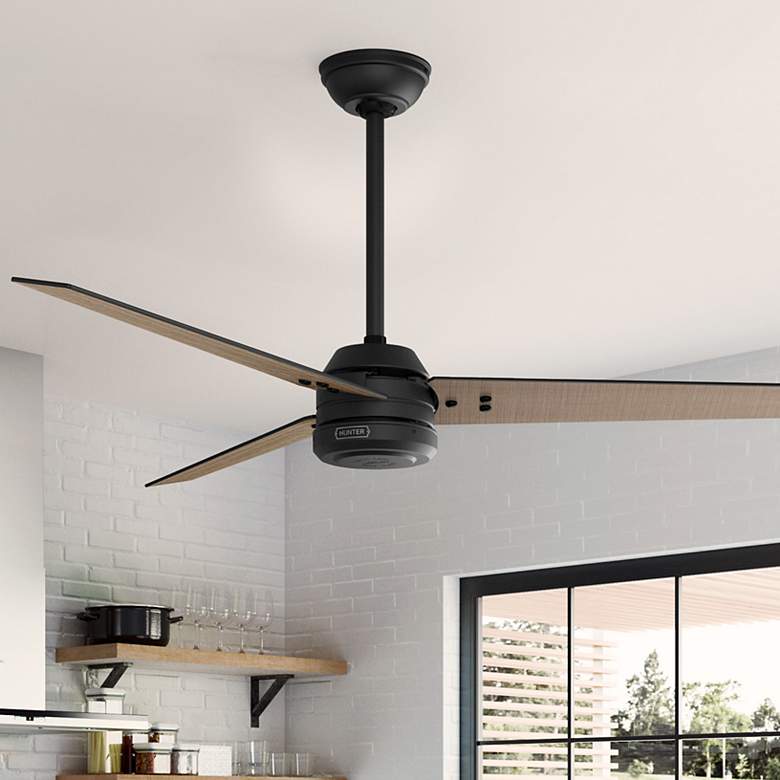 Image 1 Hunter Cassius 60 in Matte Black ENERGY STAR Outdoor Fan