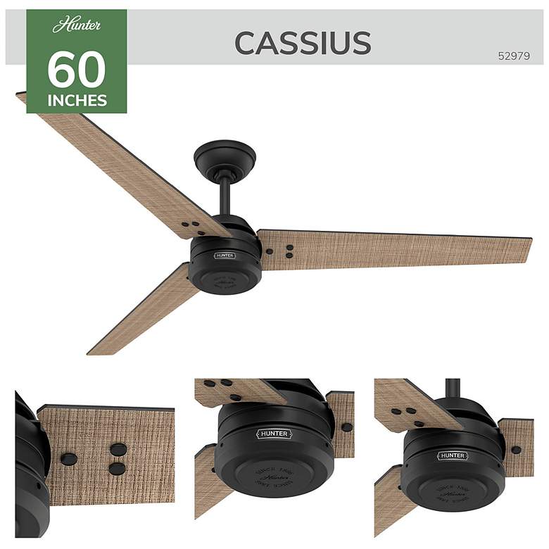 Image 5 Hunter Cassius 60 in Matte Black ENERGY STAR Outdoor Fan more views