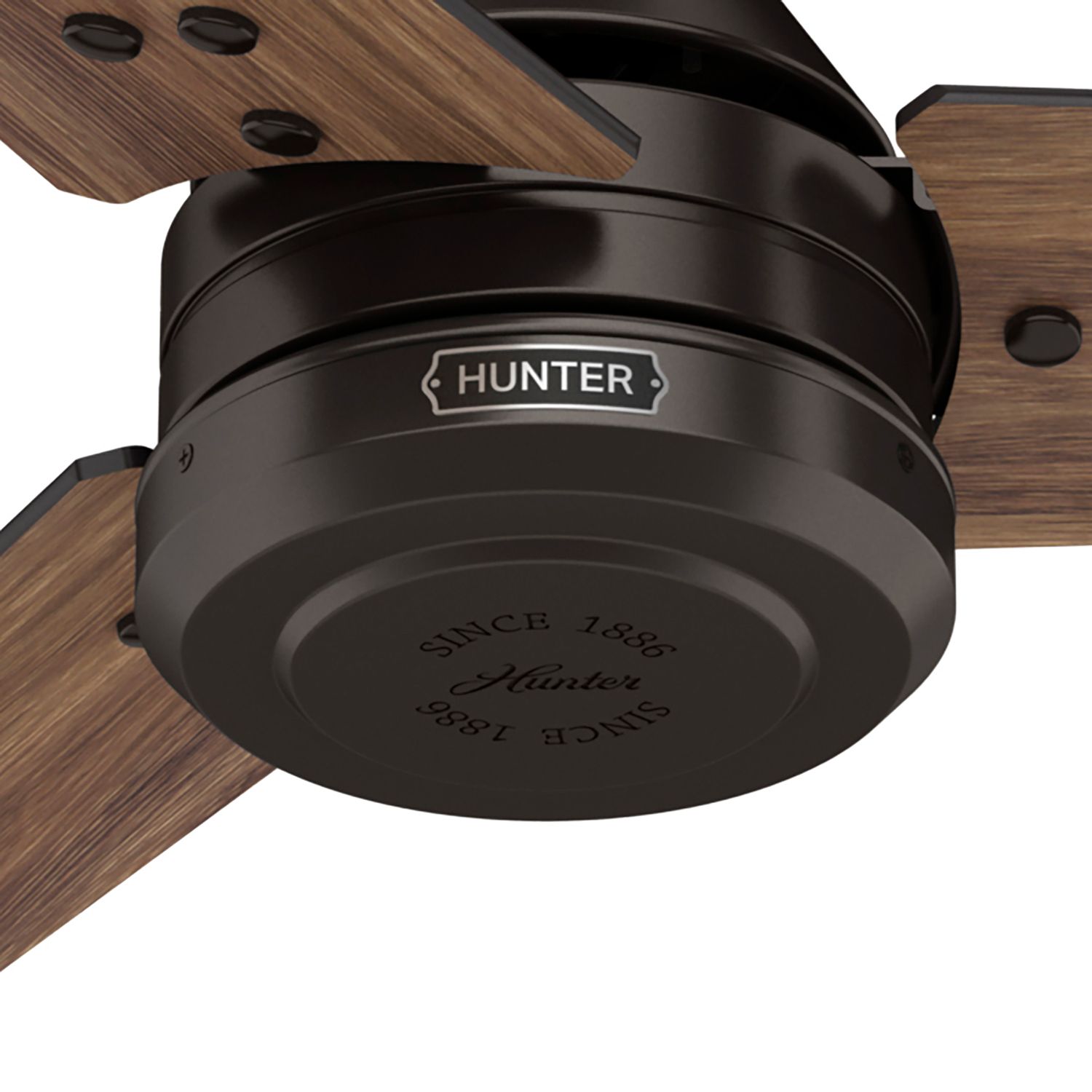 Hunter Cassius 60 in Premier Bronze ENERGY STAR Outdoor Fan