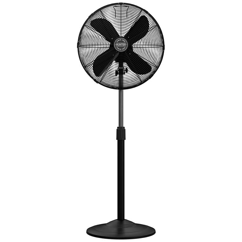 Image 1 Hunter Classic Matte Black Adjustable Standing Fan