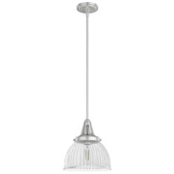 Hunter Cypress Grove Brushed Nickel with Clear Glass 1 Light Pendant