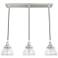Hunter Cypress Grove Brushed Nickel with Clear Glass 3 Light Cluster